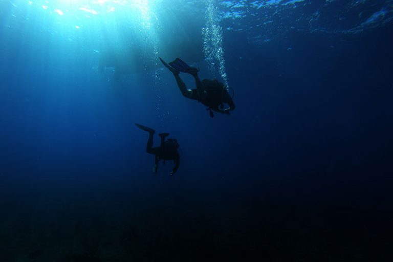 La plongée sous marine sur la Presquîle de Giens avec notre partenaire DivinGiens Camping